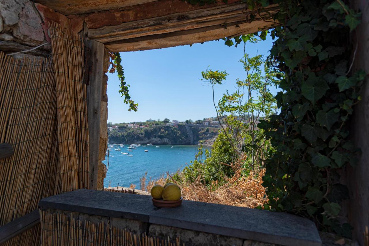 Controvento In Villa Eldorado Procida Zewnętrze zdjęcie